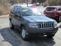 2004 Deep Beryl Green Pearl Jeep Grand Cherokee Laredo 4x4  photo #15