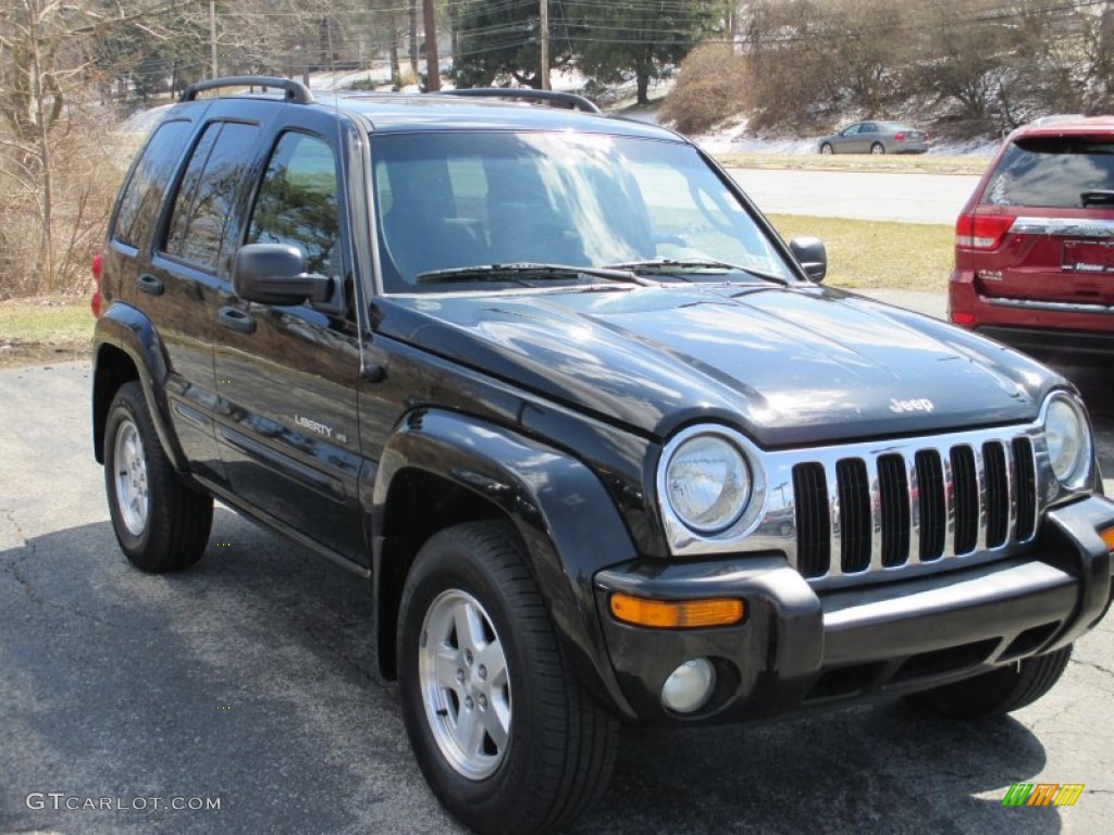 2002 Liberty Limited 4x4 - Black / Dark Slate Gray photo #17