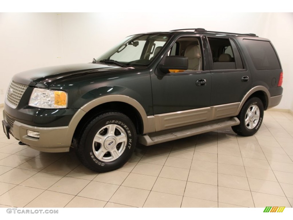 Aspen Green Metallic 2004 Ford Expedition Eddie Bauer 4x4 Exterior Photo #91886705