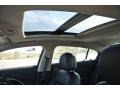 Champagne Silver Metallic - LaCrosse Leather Photo No. 10