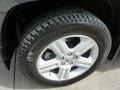 Polished Metal Metallic - Ridgeline RTL Photo No. 8