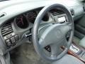 2000 Acura TL Fern Interior Steering Wheel Photo