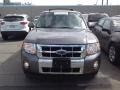 2011 Sterling Grey Metallic Ford Escape Limited V6 4WD  photo #2