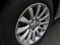 Billet Silver Metallic - 300  Photo No. 5