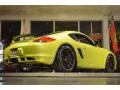 2012 Peridot Metallic Porsche Cayman R  photo #28