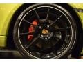 2012 Porsche Cayman R Wheel and Tire Photo