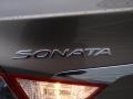 Desert Bronze - Sonata GLS Photo No. 13
