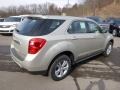 Champagne Silver Metallic - Equinox LS AWD Photo No. 5