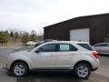 Champagne Silver Metallic - Equinox LS AWD Photo No. 8