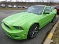 2014 Gotta Have it Green Ford Mustang GT Premium Coupe  photo #5