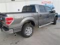 2014 Sterling Grey Ford F150 XLT SuperCrew 4x4  photo #4