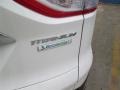 2014 White Platinum Ford Escape Titanium 1.6L EcoBoost  photo #8