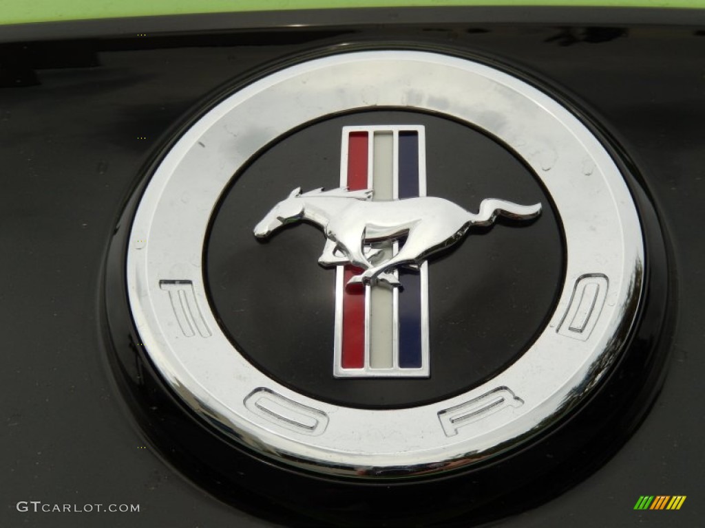 2014 Mustang V6 Premium Coupe - Gotta Have it Green / Charcoal Black photo #4