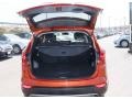 Canyon Copper - Santa Fe Sport 2.0T Photo No. 8