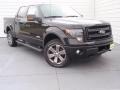 Tuxedo Black Metallic - F350 Super Duty Lariat Crew Cab 4x4 Dually Photo No. 2