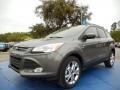 2014 Sterling Gray Ford Escape SE 1.6L EcoBoost  photo #1