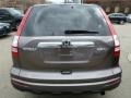 2010 Urban Titanium Metallic Honda CR-V EX-L AWD  photo #4