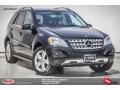Black - ML 350 4Matic Photo No. 1