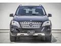 Black - ML 350 4Matic Photo No. 2