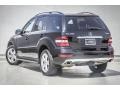 Black - ML 350 4Matic Photo No. 10