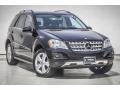 Black - ML 350 4Matic Photo No. 12