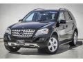 Black - ML 350 4Matic Photo No. 13