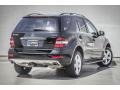 Black - ML 350 4Matic Photo No. 14
