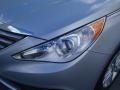 Radiant Silver - Sonata GLS Photo No. 9