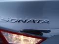 Radiant Silver - Sonata GLS Photo No. 13