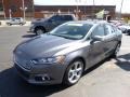 Sterling Gray - Fusion SE EcoBoost Photo No. 4