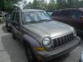 Light Khaki Metallic - Liberty CRD Sport 4x4 Photo No. 2