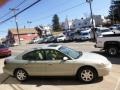 Gold Ash Metallic - Taurus SEL Photo No. 4