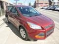 2014 Sunset Ford Escape S  photo #3