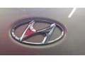 Golden Beige - Sonata GLS V6 Photo No. 21