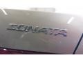 Golden Beige - Sonata GLS V6 Photo No. 22