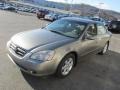 Velvet Beige 2002 Nissan Altima 2.5 S Exterior