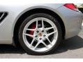 2010 Porsche Cayman S Wheel and Tire Photo