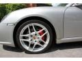 2010 Porsche Cayman S Wheel and Tire Photo