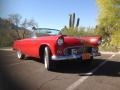 1955 Torch Red Ford Thunderbird Convertible  photo #6