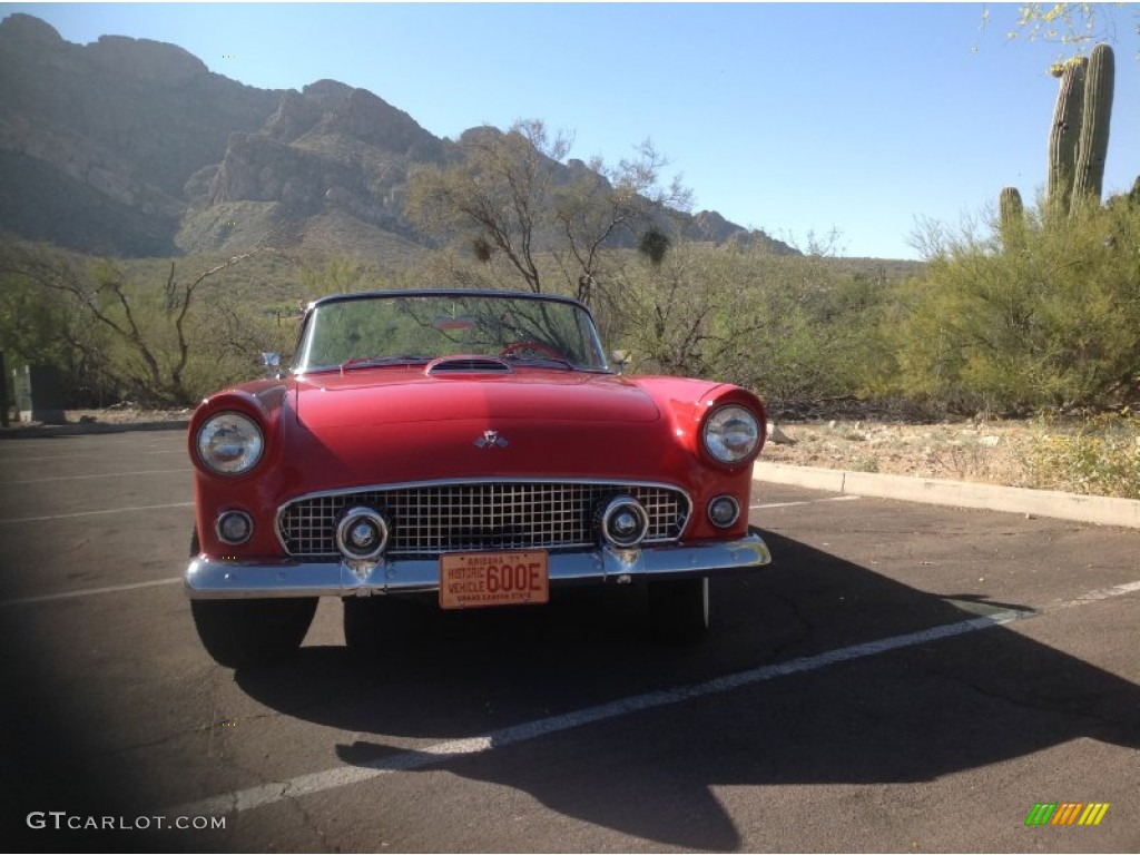 1955 Thunderbird Convertible - Torch Red / Red/White photo #7