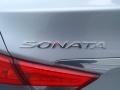Radiant Silver - Sonata Limited 2.0T Photo No. 14