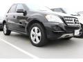 Black - ML 350 4Matic Photo No. 1