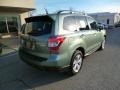 2014 Jasmin Green Metallic Subaru Forester 2.5i Touring  photo #7