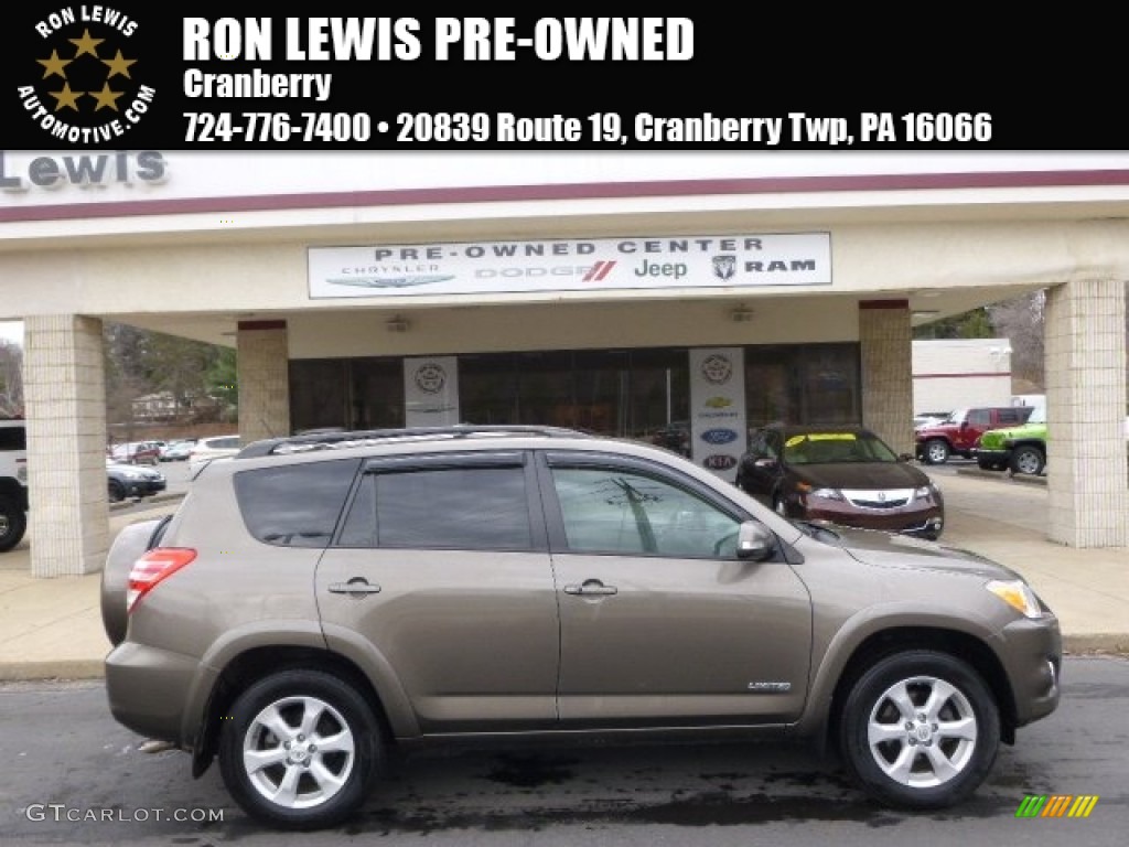 Sandy Beach Metallic Toyota RAV4