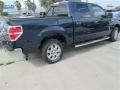 2014 Blue Jeans Ford F150 XLT SuperCrew  photo #4