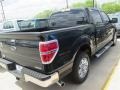 Tuxedo Black - F150 XLT SuperCrew Photo No. 4