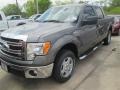 2014 Sterling Grey Ford F150 XLT SuperCrew  photo #1