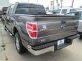 2014 Sterling Grey Ford F150 XLT SuperCrew  photo #3