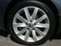 Platinum Grey Metallic - Jetta TDI SportWagen Photo No. 15