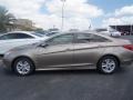 Desert Bronze - Sonata GLS Photo No. 3